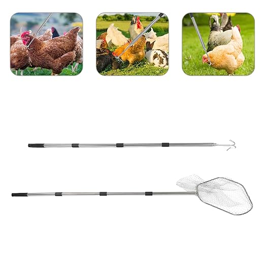Retractable Stainless Steel Chicken Catching Net and Hook Set for Outdoor Poultry Farming with Telescopic Handle and Sturdy Mesh