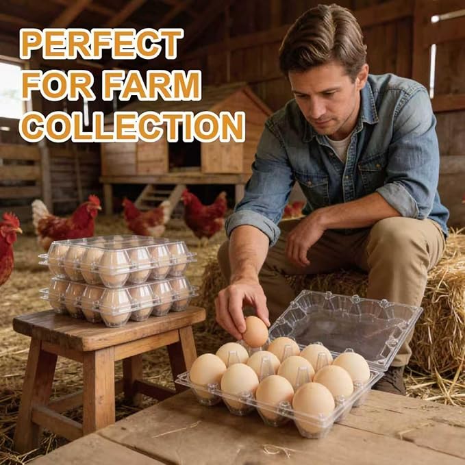 100 Pack 12 Count Plastic Egg Carton – Bulk Cheap Clear Reusable Egg Cartons | Plastic Egg Cartons, Clear Egg Carton, Egg Cartons Bulk, Eggs 12 Count，egg storage for refrigerator.