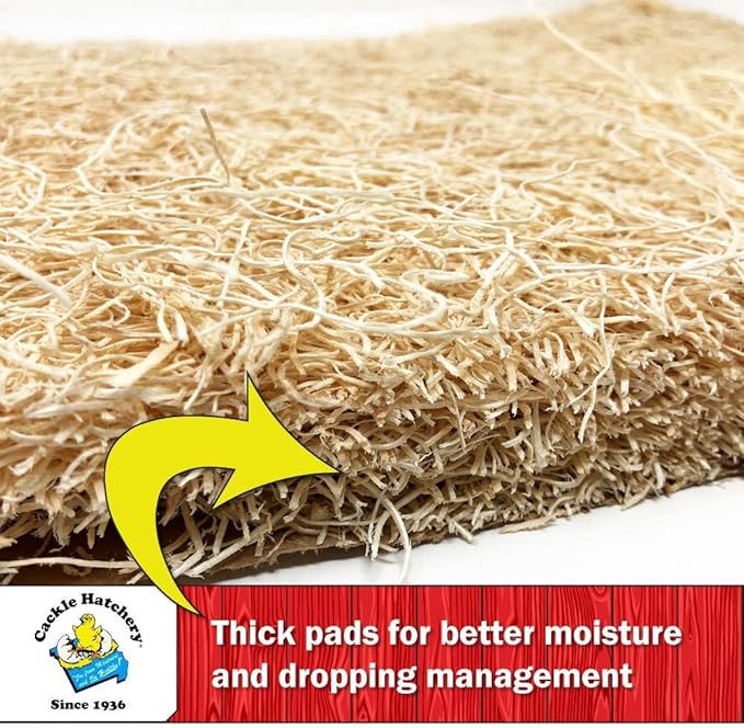 Cackle Hatchery Laying Hen Nest Box Pads Made in USA from Sustainable Aspen Exceslior - 13x13 Nesting Box Liners (6-Pack)
