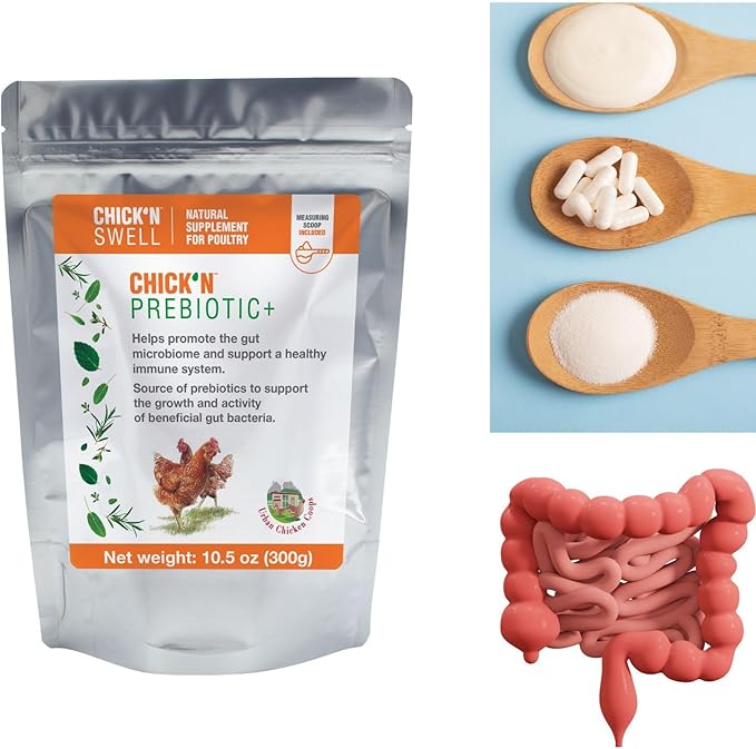 ChicK'N Swell Poultry Prebiotics from Chick'n Prebiotic+ | Supplement with Vitamins for Backyard Chickens and All Poultry of All ages-10.5 oz.