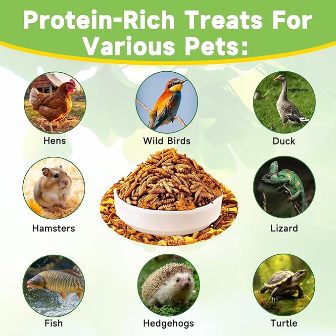 10LB Dried Black Soldier Fly Larvae Treat for Chicken, 100% Natural Non-GMO More Calcium Than Dried Mealworms High Protein Chicken Feed for Birds, Ducks, Layer Hens
