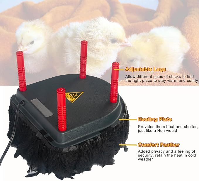 Chick Brooder Heating Plate with Comfort Feathers, Chicken Coop Warmer Pad Adjustable Height Poultry Incubator Heater Plate, Warms Up to 15 Chicks - 13 Watts (10" x 10")