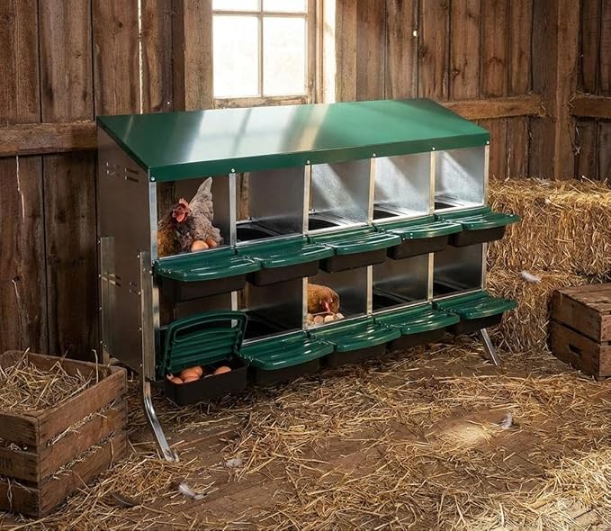Chicken Nesting Box, 10 Compartments Roll Away Eggs Laying Boxes, Cleanable Pull Out Hen Roosting Boxes with Mental Leg, Durable & Easy to Install, Green