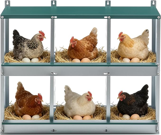 EAGLE PEAK 6-Hole Wall Mounted Chicken Nesting Box, Roll Away Hen Laying Box with Sloped Roof & Easy Clean Tray, Galvanized Steel for Backyard Chicken Coops (Green)