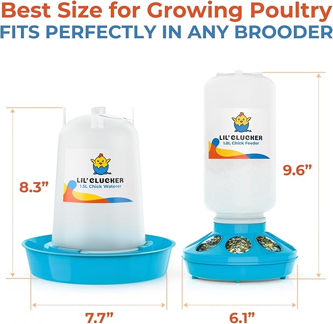 Lil'Clucker 1L Chick Feeder, 1.5L Chicken Waterer - No Leakage Chick Feeder and Waterer Kit, Durable Chicken Water Feeder, Chicken Feeder and Waterer Set, Poultry Waterer (Blue)