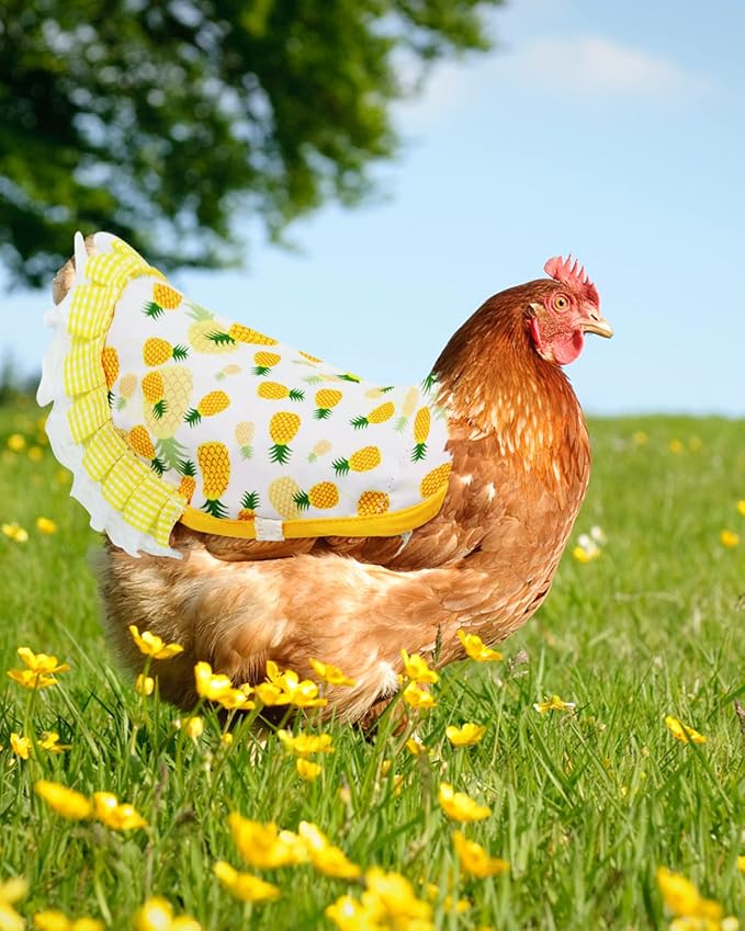 6pcs Hen Saddle Apron，Waterproof Chicken Saddle Hen Apron with Elastic Chicken Jacket Straps Hen Apron Poultry Protector Wing Back Protector Print Feather Protective Jacket(B)
