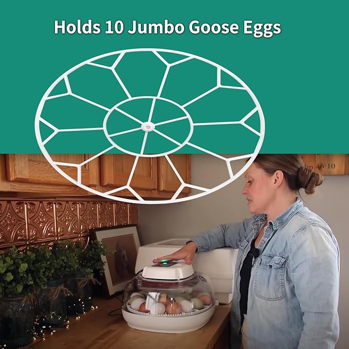 10 Egg Capacity Jumbo Goose Heavy Breeds Tray Fits Nurture Right 360 Incubator Turner, White (JGT360)