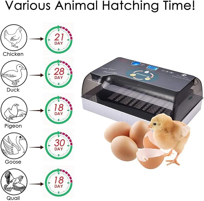 Automatic Egg Incubator, 12Eggs Electronic Poultry Hatcher with Digital LED Display Temperature Control Auto Egg Turning Turner (12 Eggs)
