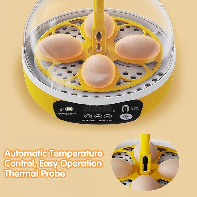 Tissting 4 Eggs Mini Incubator with Transparent Lid,7W Automatic Temperature Humidity Control,Household Small Poultry Hatching Machine,for Chickens Ducks Pigeons (Manual Turning)