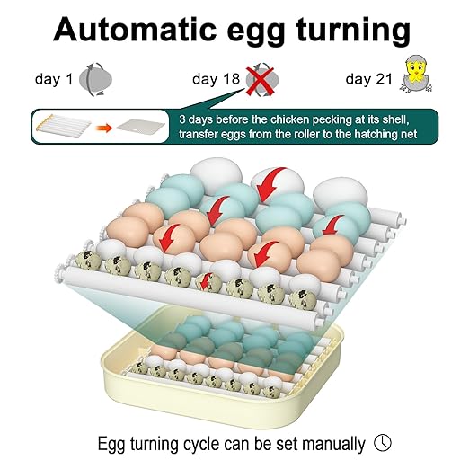 35 Egg Incubator with Automatic Egg Turning and Humidity Control, Incubator for Chicken Eggs, Quail, Duck Eggs, with Egg Candler