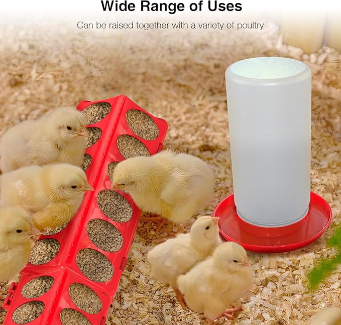 Chick Feeder and Waterer Kit - Baby Chicken Supplies with Chicks Perch, Plastic Feeder Trough and 1.2L Waterer, Chicken Starter Kit for Coop and Brooder for Small Poultry Ducks Quail