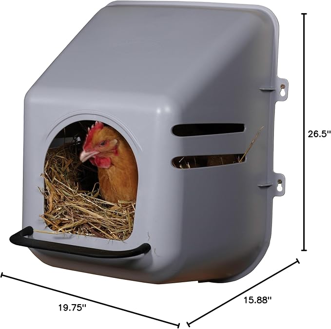 Little Giant Single Plastic Nesting Box Chicken Nest Box with Perch (Item No. 163620)
