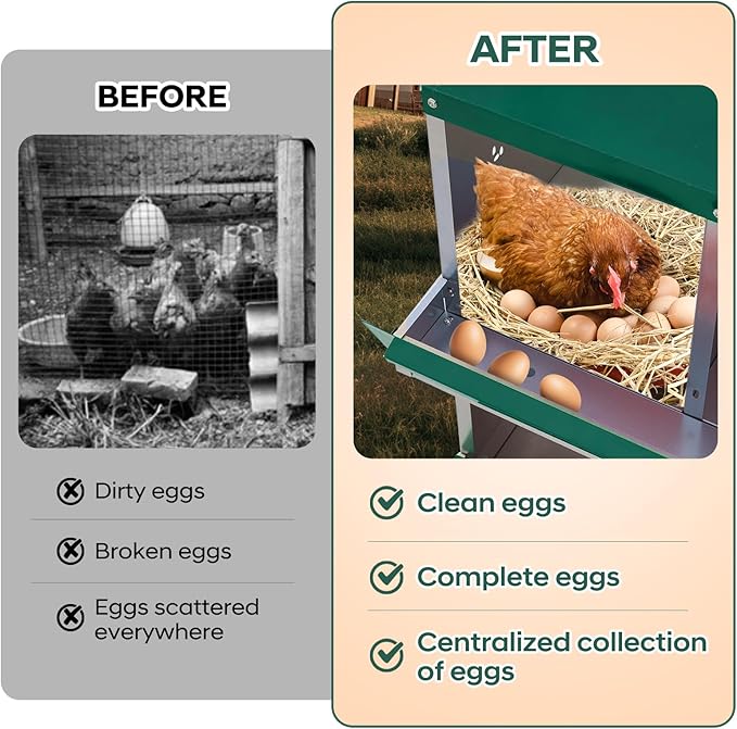 GarveeLife Chicken Nesting Box, 10 Compartments Nesting Box for Chickens, Two-Tier Galvanized Steel Chicken Egg Laying Box with Large Vented Holes Wall Mounting for Easy Egg Collection