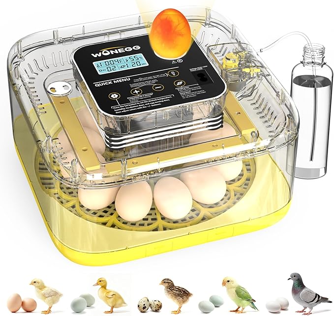 Incubator for Hatching Eggs, 12 Eggs Incubator with Automatic Egg Turning, Temperature & Humidity Control, LED Egg Candler, Incubation Days Display, for Chicken, Duck, Quail, Parrot Bird Eggs