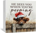 Christmas Highland Cow Bathroom Decor Sign - Farmhouse Western Christmas Animal Bathroom Decor,Rustic Farm Animal He Sees You When You're Pooping Signs,Highland Cow Gifts for Women