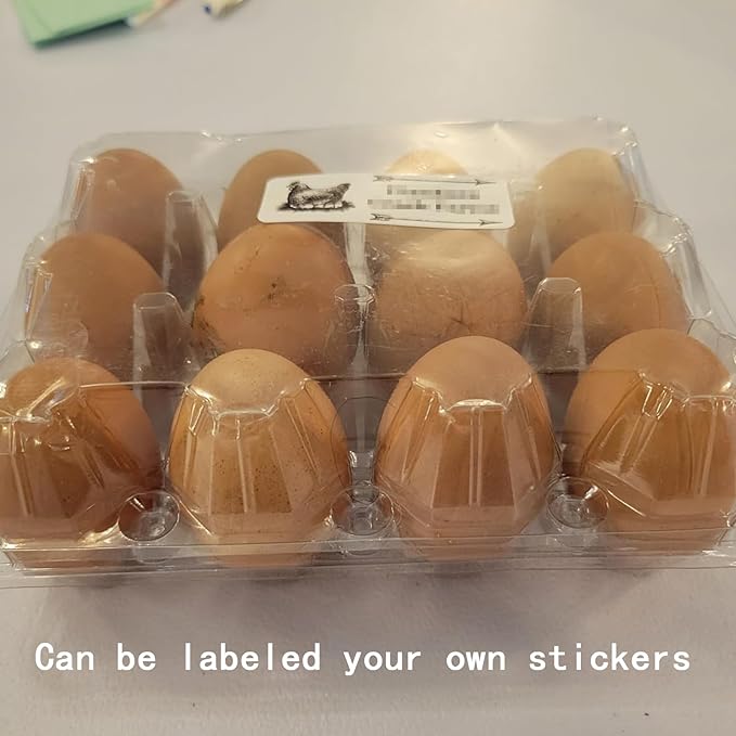 40 Pack Plastic Egg Cartons Bulk, 12 Count Chicken Duck Eggs, 1 Dozen Jumbo Clear Refrigerator Egg Trays