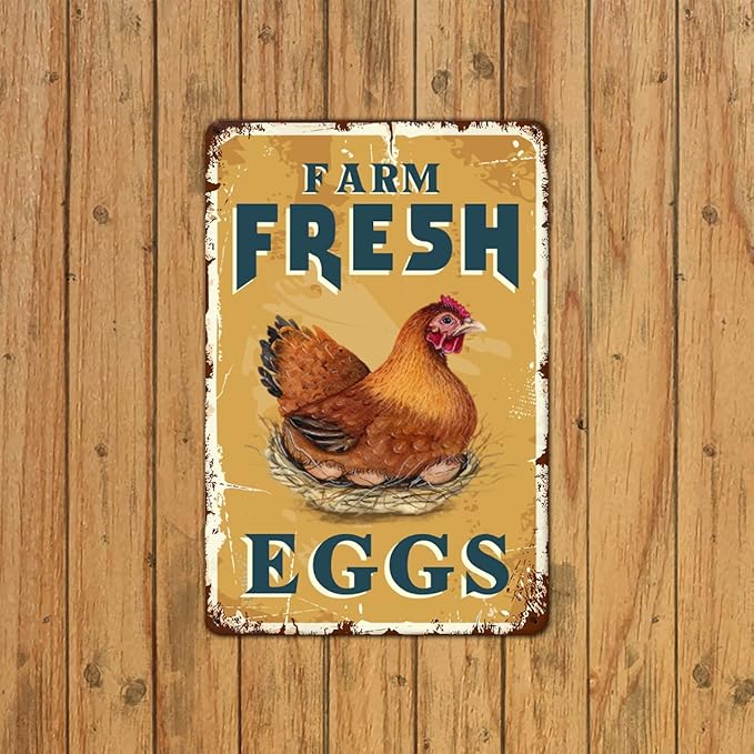 Farm Fresh Eggs Tin Signs - Vintage Country Chicken Hen Rooster Tin Signs Funny Chicken Coop Metal Signs Outdoor Chicken Decor For Chicken Lovers Chicken House Decor 8×12 Inch
