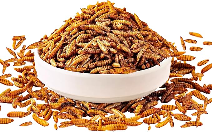 1Kg Dried Black Soldier Fly Larvae Treat for Chicken, 100% Natural Non-GMO More Calcium Than Dried Mealworms High Protein Chicken Feed for Birds, Ducks, Layer Hens