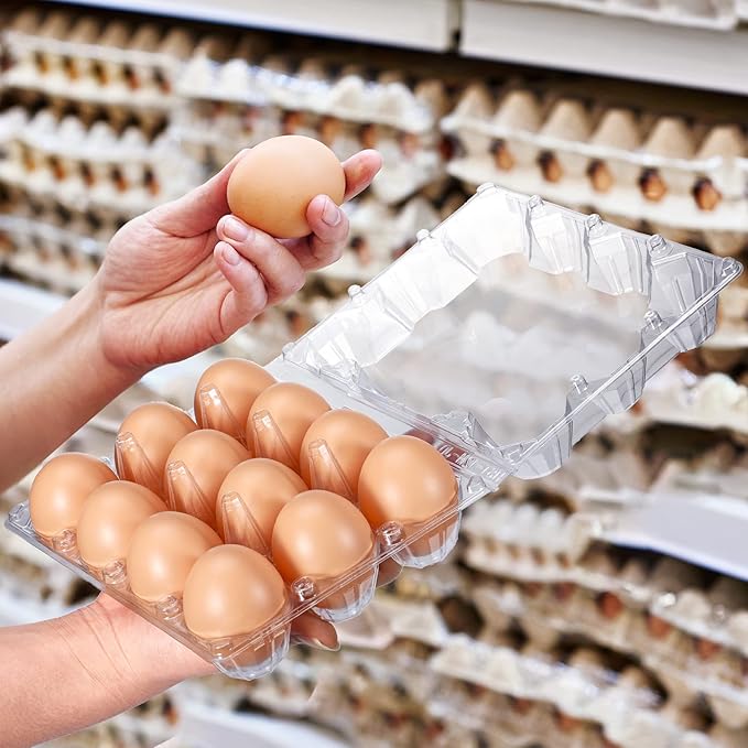 Zubebe 250 Pcs Plastic Egg Cartons Clear Egg Cartons Bulk Blank Tray for Chicken Farm Business Market Home Refrigerator Storage