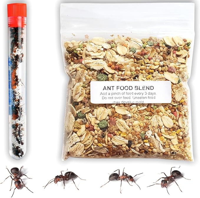 1 Tube Live Ant Farm Ants Plus Ant Food-Bundle