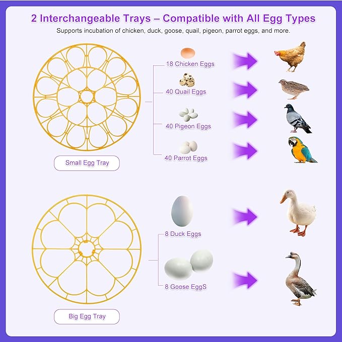 18 Egg Incubator for Hatching Eggs – With Automatic Egg Turning, Temp/Humidity Control, Egg Candler, Incubator Chicken, Duck, Goose, Quail, Parrot, Pigeon – For Home Farm Science Class Lab