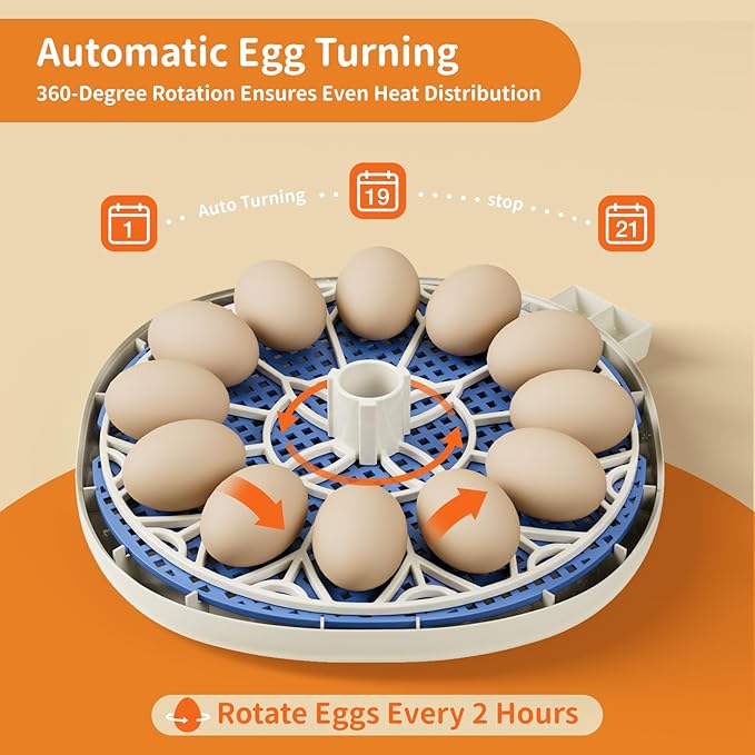 12 Egg Incubator with Temperature and Humidity Display, Automatic Egg Turning, Egg Candler, Automatic Water Refill, for Chicken, Quail & Duck Eggs, Perfect for Home, Farm, Classroom, Lab Incubators