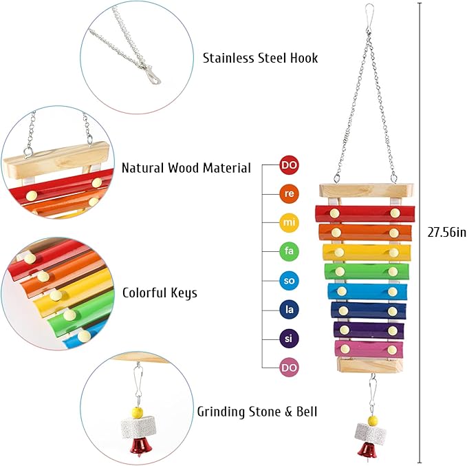 BNOSDM 5 Packs Chicken Xylophone Toy for Hens Chicken Mirror Toy with Bell Chicken Coop Toys and Accessories Veggies Skewer Fruit Holder Vegetable Hanging Feeder for Chicks Hens Roosters