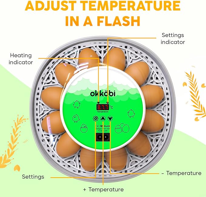 Okkobi M12 Egg Incubator with Automatic Turner and Humidity Control - 12/24 Eggs, 360° View, Easy to Use and Clean - Incubadora de Huevos de Gallina - Made for US - White & Green