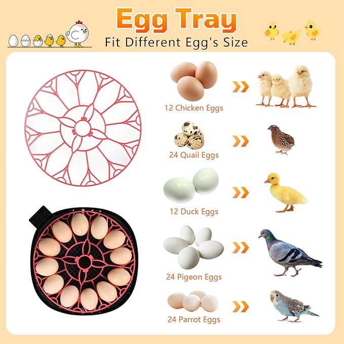 12-Egg Incubator, Automatic Egg Turning Function, Humidity Control, External Water Bottle for Watering, 360° Observation, Suitable for Chickens, Ducks, Geese, and Quails