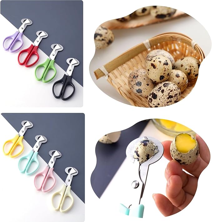 9 Pack Quail Egg Scissors - Stainless Steel Quail Scissors 9 Color for Quail Eggs