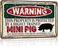 Vintage Mini Pig Metal Sign， Warning this property is protected bY a highly trained Mini Pig Sign Funny Tin Signs 12x8 Inch