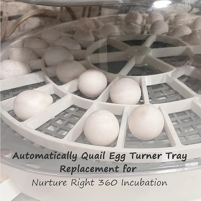 Plastic Egg Turner Tray Replacement Fits Nurture Right 360 Incubator For Hatching Eggs, Tray Attachment For Monitor Eggs From Any Angle