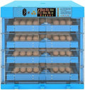 Eggs Incubator Automatic Turning 256Eggs Digital Large Farm Poultry for Hatching Chicken Duck Dove Quail Temperature Control