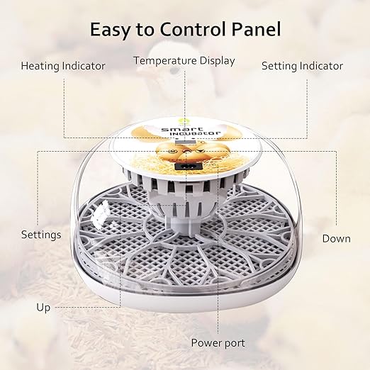 Egg Incubators for Hatching Eggs, 12 Egg Incubator Automatic Turner Humidity Control Egg Encabulator for Chicken, 360° Clear Window Incubator for Chicken Eggs, Duck, Quails, Goose Eggs