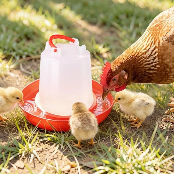 4-Pack Chick Waterer, 1L Poultry Water Feeder, Poultry Drinker with Handle, Chicken Water Dispenser，Chicken coop Water Feeder for Chickens, Turkeys, Ducks and More