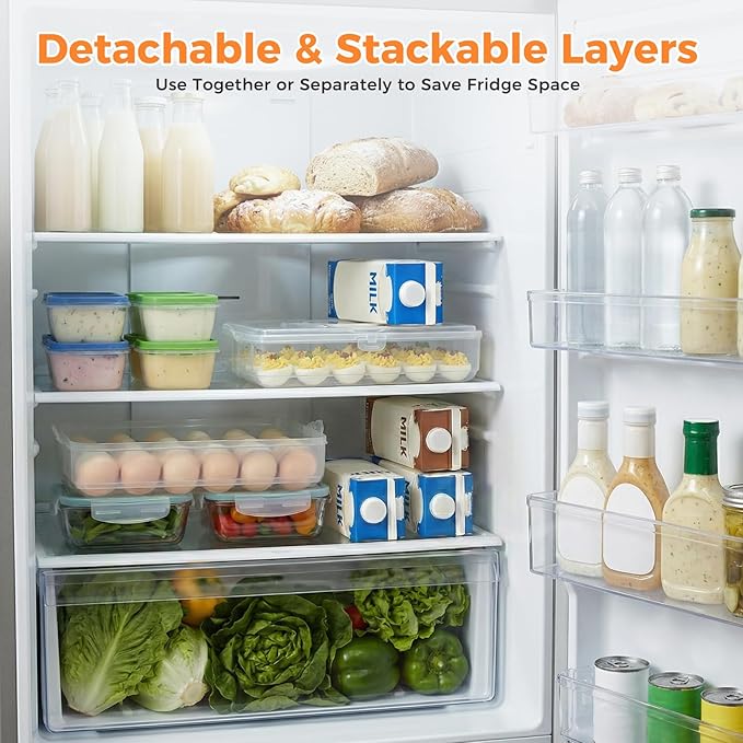 HANSGO Deviled Egg Containers with Lid, 2-Layer Plastic Detachable Deviled Egg Carrier for 48 Eggs, Clear Storage Tray for Refrigerator, Kitchen, Party, Travel, Family Gatherings, Easy to Transport