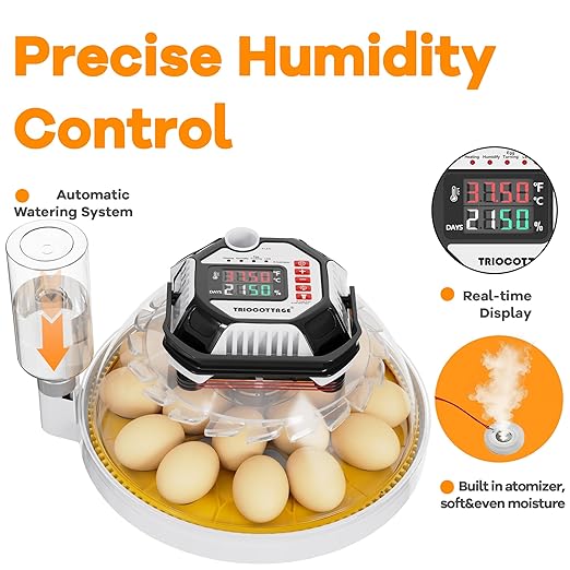 Incubators for Hatching Eggs, 12–18 Egg Capacity Digital Egg Incubator with Automatic Egg Turning and Accurate Humidity Control for Chicken, Quail, Duck