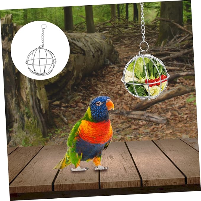Hanging Stainless Steel Chicken Feeder Holder 2Pcs Ball Shape Poultry Vegetable Treats Feeders for Chickens and Chicks