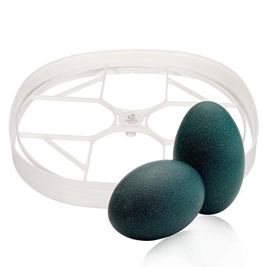 Egg Trays for Nurture Right 360 Egg Incubator (Various Sizes) (Extra Large w/Riser (Emu))