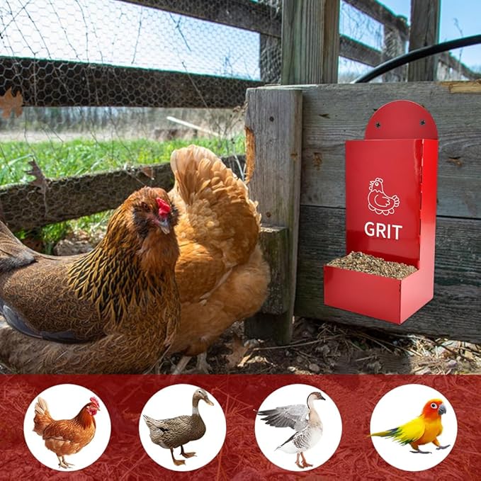 2 Pack Chicken Grit Feeder, Metal Hanging Chickens Oyster Shell Feeders and Grit Feede r,Chicke n Coop Accessories,Easy to Install and Clean