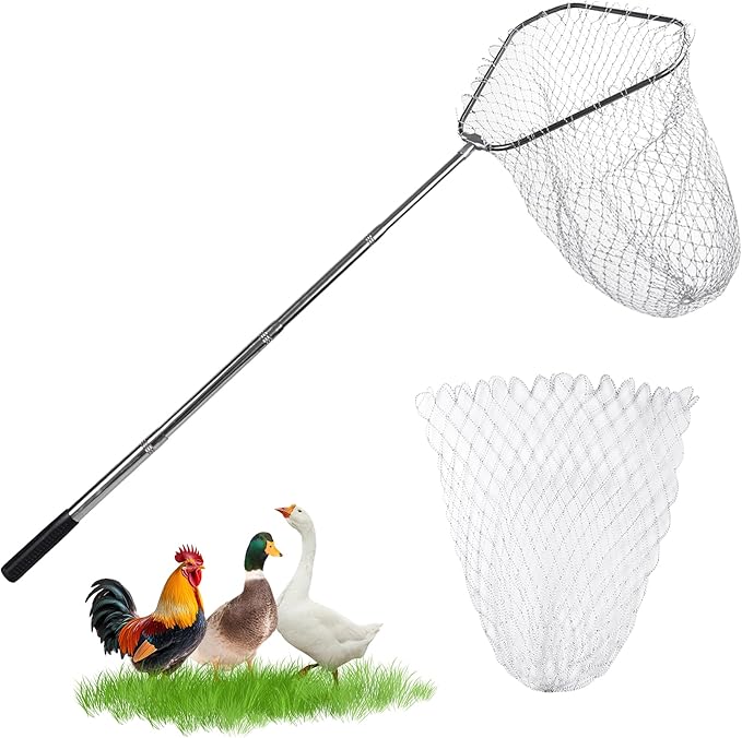 Chicken Catching Net Bird Net with Telescoping Pole, Strong Stainless Handle Full Extended to 48 Inches