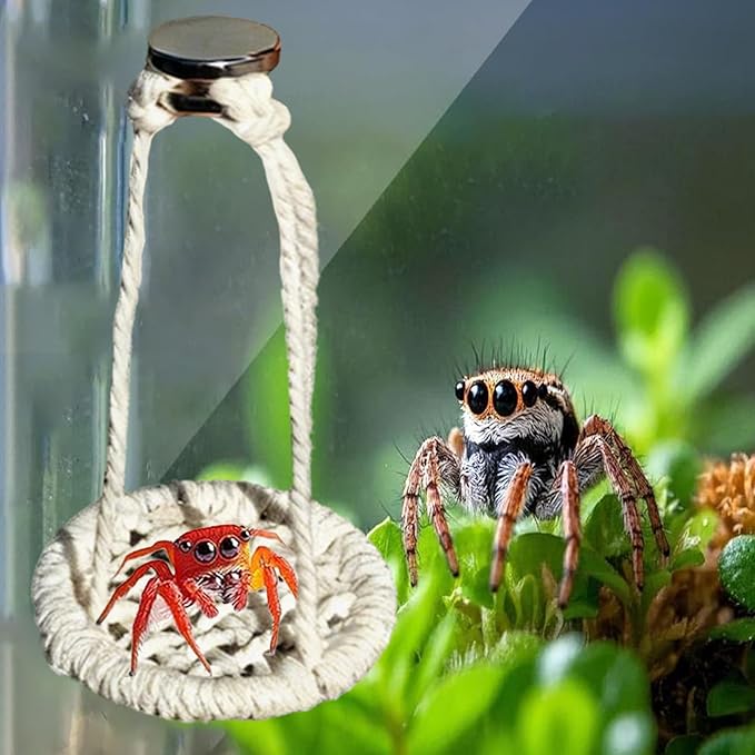 Jumping Spider Decor - 2 Pieces Natural Cotton Rope Handmade Pets Supplies, Jumping Spider Accessories for Walking Camping Travel Daily Airplane Outing Shopping, Urban Courtyard Farm, Interactive Pet