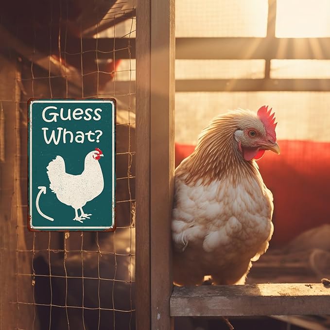 Guess What Funny Chicken Coop Tin Sign, Chicken Butt Poster, Farmhouse Kitchen Wall Art, Coop Accessories, Home Decor 8x12 Inch