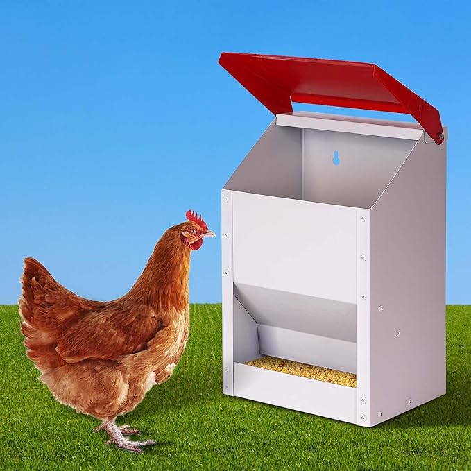 Automatic Metal Chicken Feeder Galvanized Poultry Feeder with Lid Outdoor Wall Mount Chicken Food Dispenser Gravity Fed Chicken Feeder Weatherproof No Waste Quail Duck Feeder (10LBS)