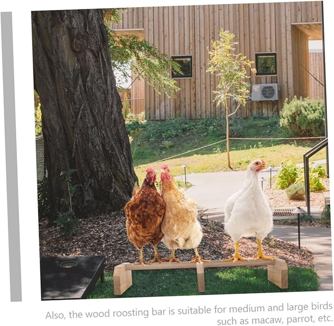 BESPORTBLE Wooden Chicken Roosting Bar Natural Bird Perch Stand for Pet Parrots and Hens Safe Breeds and Ages Coop Perch to Attract and Entertain Pets
