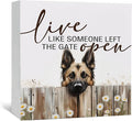 Live like Someone Left the Gate Open Belgian Malinois Wooden Signs,Farm Cottagecore Animal Office Kitchen Bedroom Decor,Rustic Farmhouse Home Decor Signs,Belgian Malinois Gifts for Women