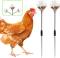 Chicken Treat Dispenser, Chicken Enrichment Toys with Spring and Ground Stake, Feeder for Coop, Coop Accessories for Hens, Geese, Ducks, Turkeys, Other Poultry