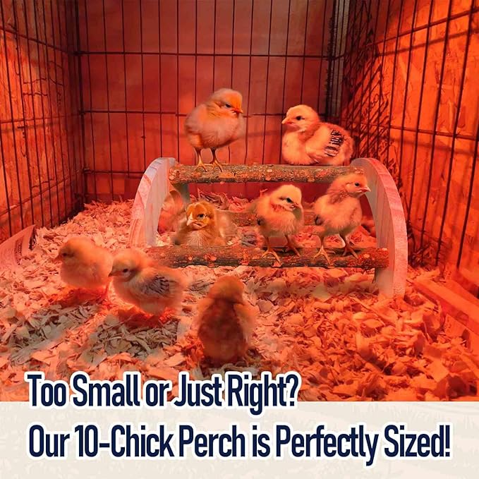 Chick Perch - Natural Wood Chick Roosting Bar for Brooder, Baby Chicken Supplies （1 Pack）