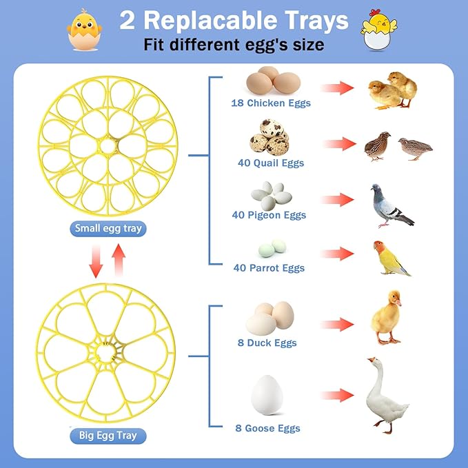 18-36 Eggs Incubators for Hatching Eggs with Automatic Egg Turning and Humidity Control, for Chicken, Duck, Quail, Goose, Parrot Eggs - 360° View for Farm, Classroom, Home Use