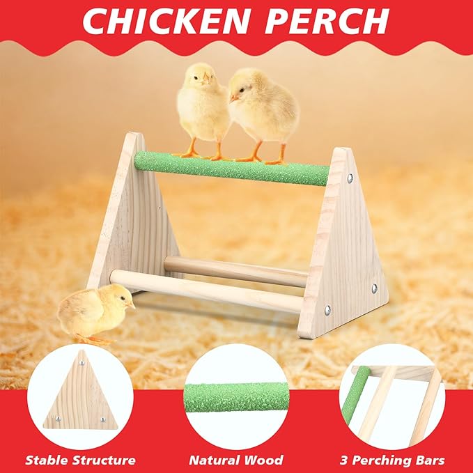 5 Pack Winter Chicken Brooder Box Starter Heated Chicken Waterer with Chick Perch Set 0.8 Gallon Heated Poultry Fountain, Flip Top Poultry Feeder, 2.9 Pounds Chick Feeder for Coop Chicks
